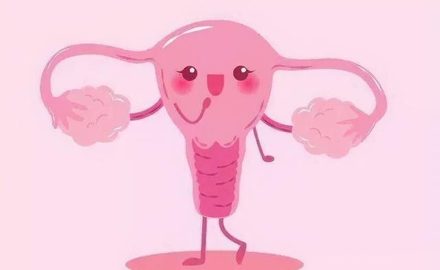 保养卵巢和子宫，必吃的4类食品你知道吗？