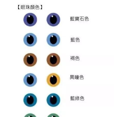 猫的眼睛为什么会有各种各样的颜色呢图3