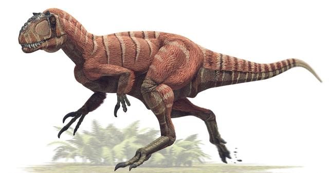 白垩纪时代都有哪些恐龙,白垩纪时代恐龙图2
