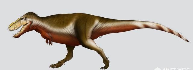 白垩纪时代都有哪些恐龙,白垩纪时代恐龙图3