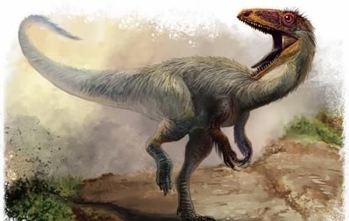 白垩纪时代都有哪些恐龙,白垩纪时代恐龙图4