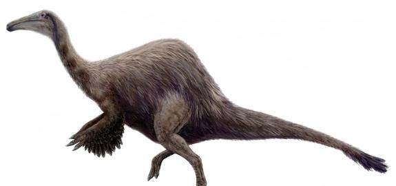 白垩纪时代都有哪些恐龙,白垩纪时代恐龙图9