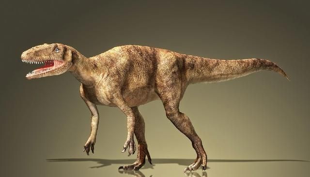 白垩纪时代都有哪些恐龙,白垩纪时代恐龙图10