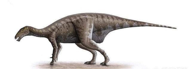 白垩纪时代都有哪些恐龙,白垩纪时代恐龙图12