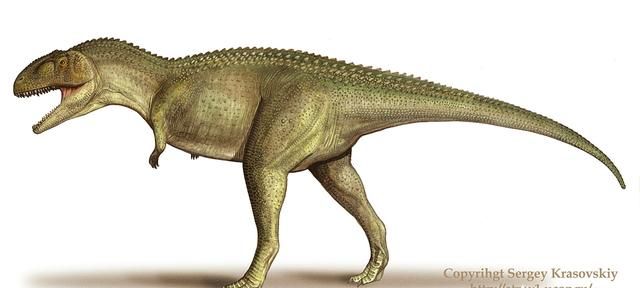 白垩纪时代都有哪些恐龙,白垩纪时代恐龙图14