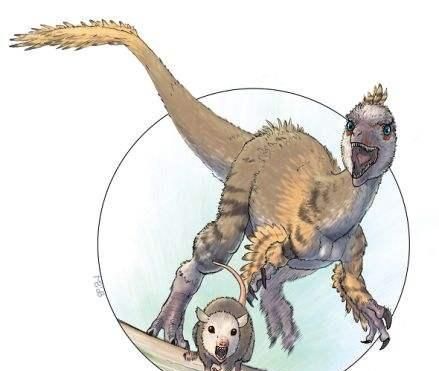 白垩纪时代都有哪些恐龙,白垩纪时代恐龙图15