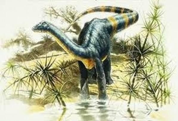 白垩纪时代都有哪些恐龙,白垩纪时代恐龙图16