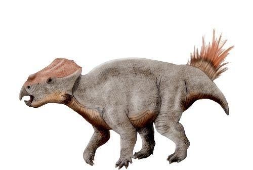 白垩纪时代都有哪些恐龙,白垩纪时代恐龙图17