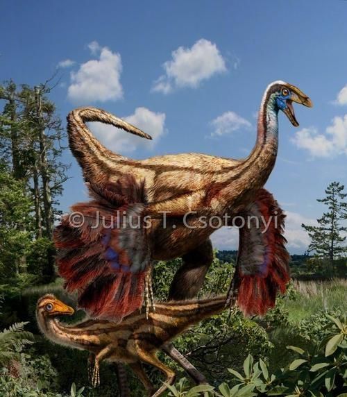 白垩纪时代都有哪些恐龙,白垩纪时代恐龙图20