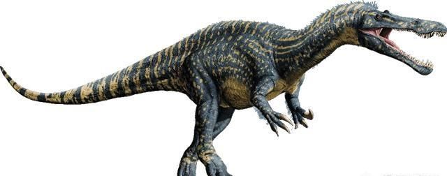 白垩纪时代都有哪些恐龙,白垩纪时代恐龙图26