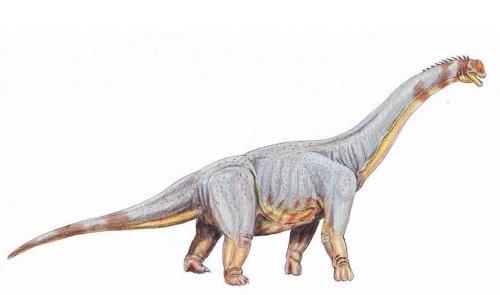 白垩纪时代都有哪些恐龙,白垩纪时代恐龙图28