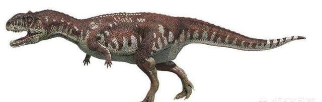 白垩纪时代都有哪些恐龙,白垩纪时代恐龙图29