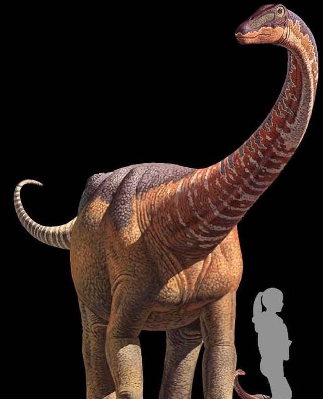 白垩纪时代都有哪些恐龙,白垩纪时代恐龙图30