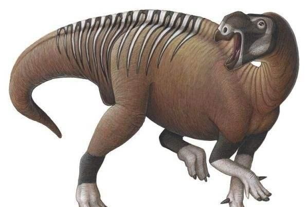 白垩纪时代都有哪些恐龙,白垩纪时代恐龙图32