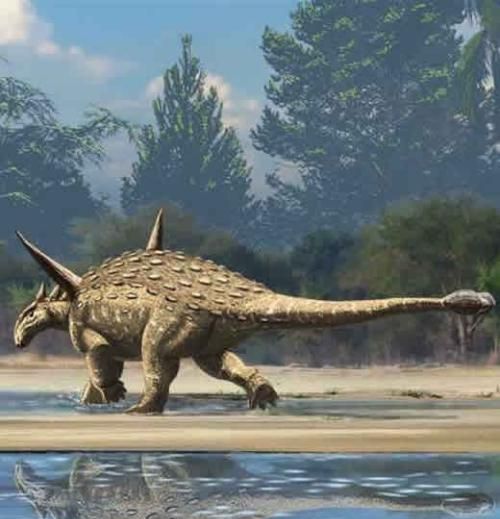 白垩纪时代都有哪些恐龙,白垩纪时代恐龙图34