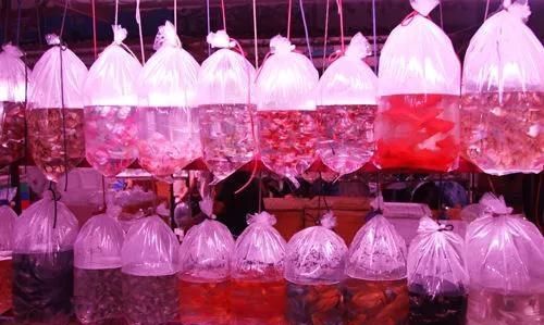 在天津逛花鸟鱼虫市场去哪比较好图2