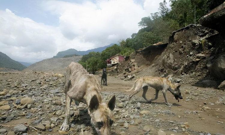 2009年，台湾高雄县小林村遭泥石流“灭村” 一片惨象。